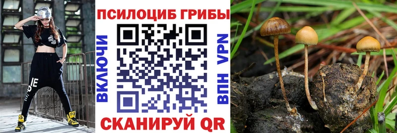 Купить где  Ачинск  Галлюциногенные грибы Magic Shrooms 